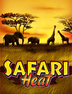 เกมส์ ไพ่ ได้ เงิน จริง เล่นสนุกกับประสบการณ์ใหม่